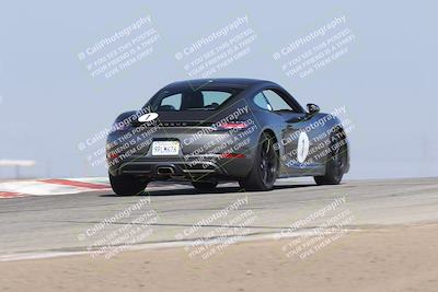 media/Nov-01-2025-PCA Central Coast (Sat) [[5e27ded23e]]/White Group/Grapevine/